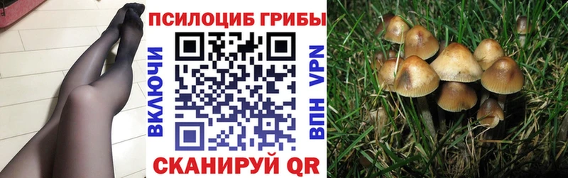 Галлюциногенные грибы ЛСД  купить закладку  Томари 